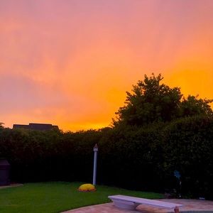 Meet your Posher, Zoe